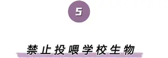  cba江苏队不敌北京队 